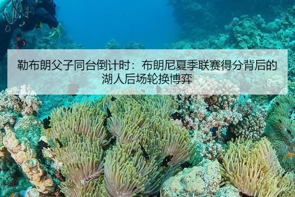 勒布朗父子同台倒计时：布朗尼夏季联赛得分背后的湖人后场轮换博弈